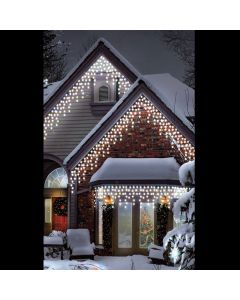 Warm Ice White LED Multi Function - 400 Lights