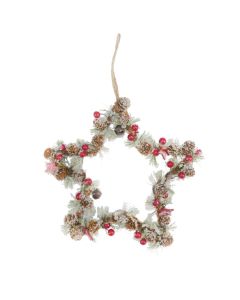 Davies Products Cone & Berry Frost Star Christmas Decoration - 23cm
