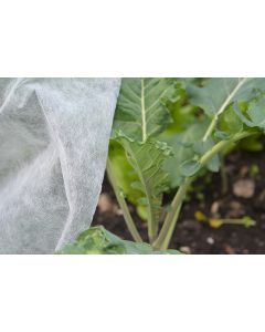 Plant Veg Frost Protection Fleece