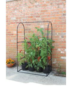 Haxnicks Tomato Crop-Booster Frame