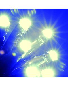LED Chaser Lights - 240 LED Warm White