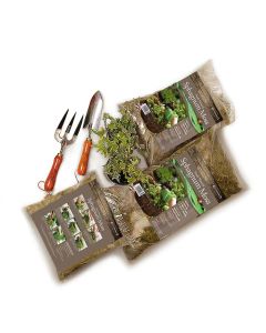 Tildenet Sphagnum Moss Bag Size 2 (2x12" Basket)