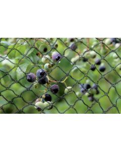 Superior Fruit Cage Anti-Bird Netting