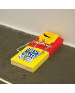 The Big Cheese - Fresh Baited Mouse Trap