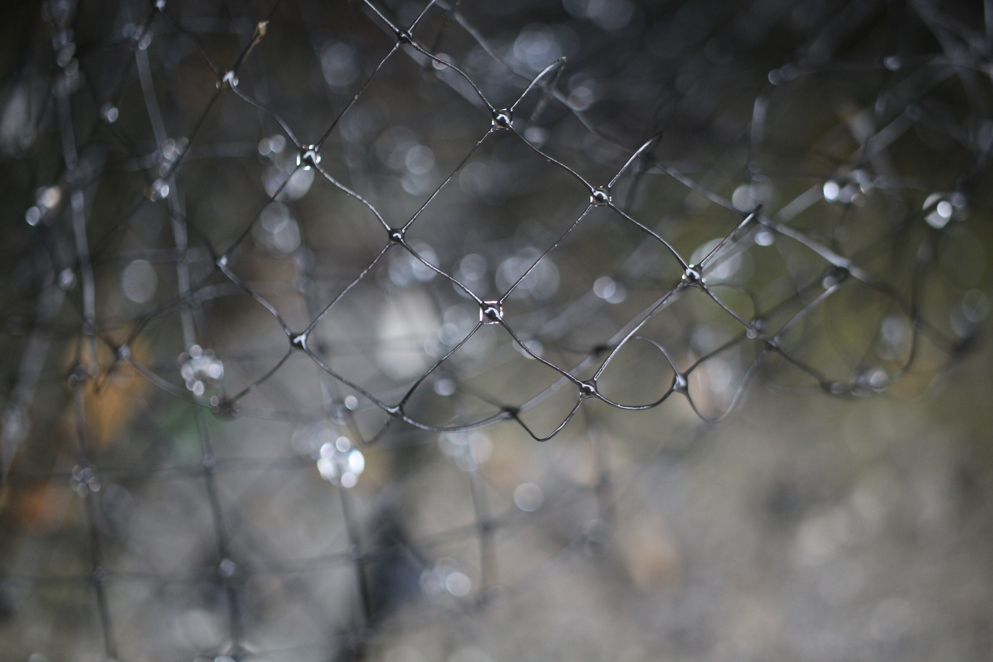 How Garden Netting Can Protect Your Plants and Boost Your Harvest