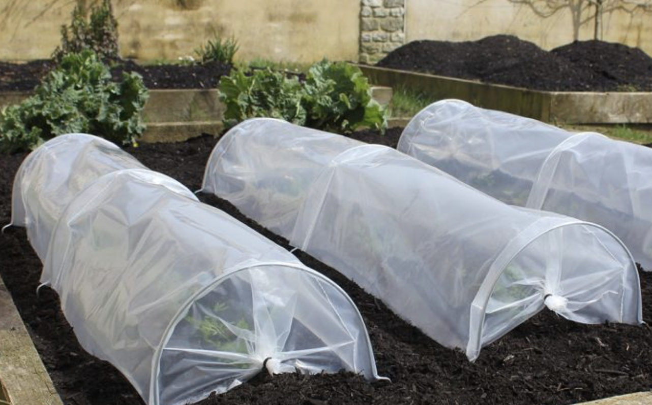 Garden Cloches: The Ultimate Tool for Protecting Your Plants and Extending Your Growing Season