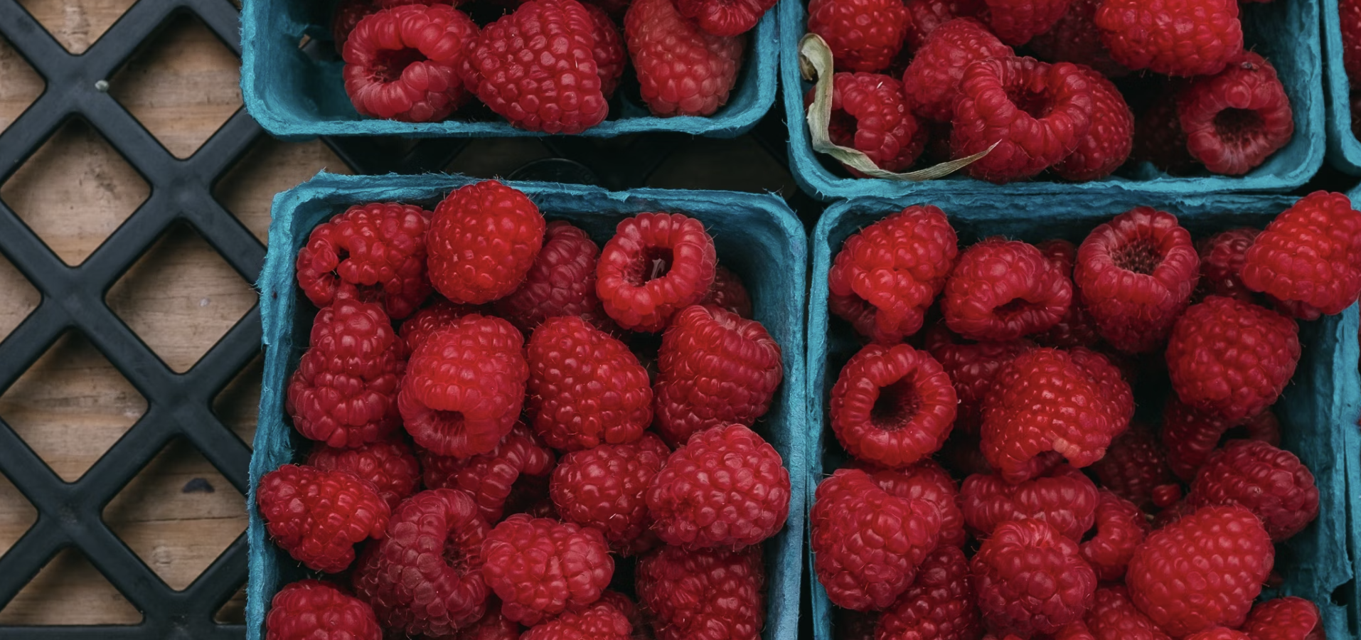 Fruit Cage Netting: The Secret Weapon for Pest-Free Gardens and Bountiful Fruit Harvests