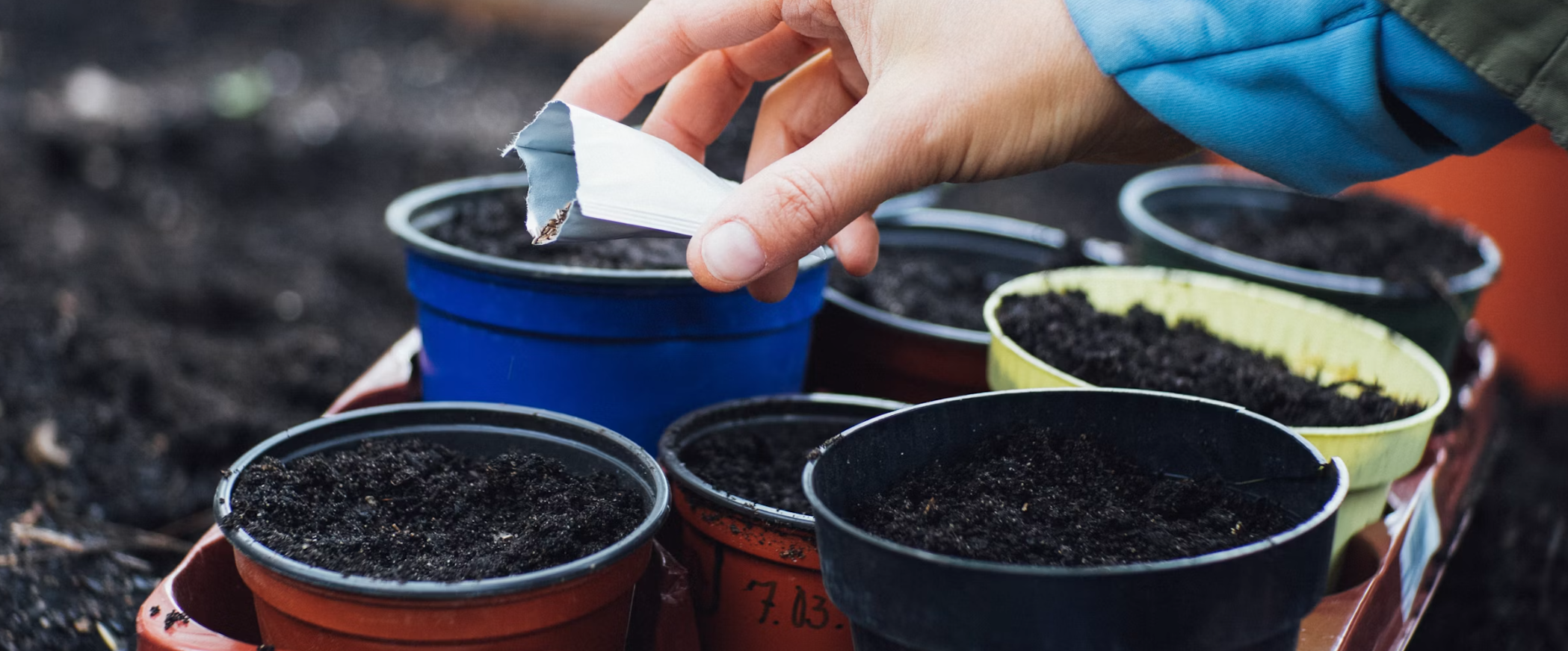 How to Prepare the Perfect Bed for Your Seeds
