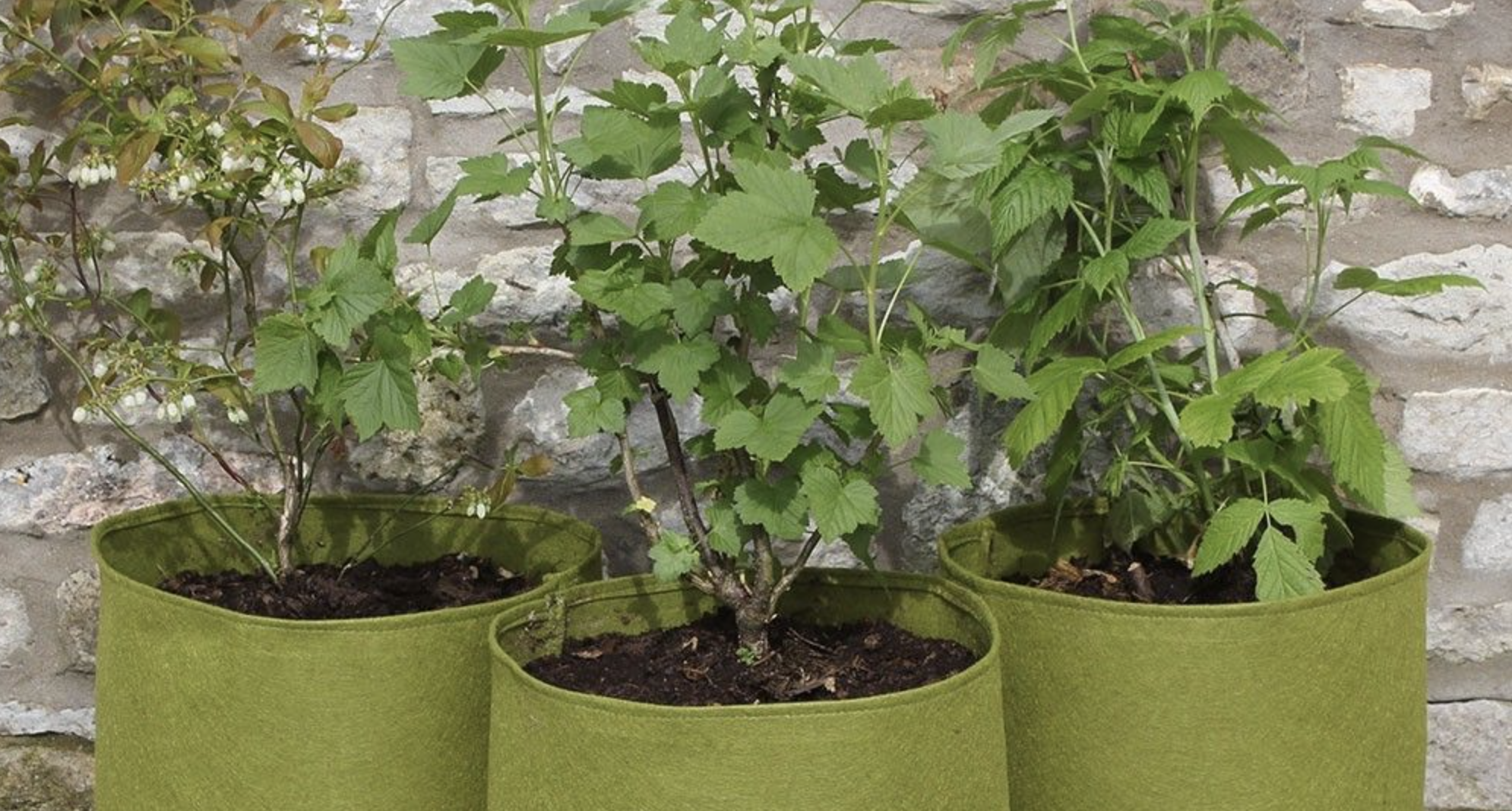 Discover the Benefits of Using Fabric Plant Pots in Your Garden